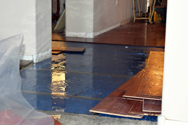 Professional Water Damage Restoration technician working in Odin, MN